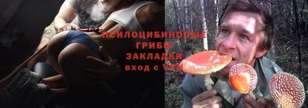 соль ск Струнино