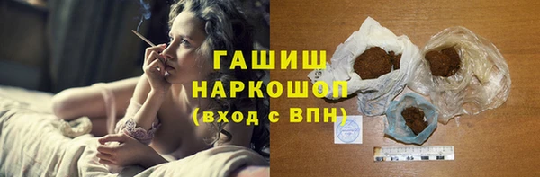 твердый Гатчина