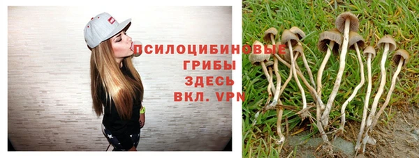 ешки Галич