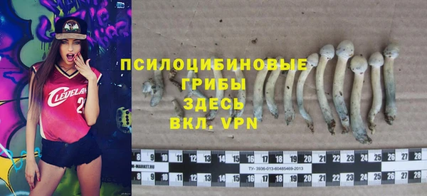 кристаллы Ступино