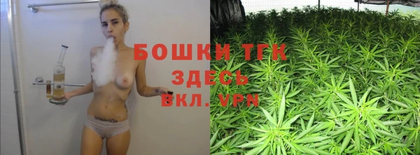 соль ск Струнино