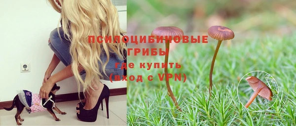 PSILOCYBIN Михайлов