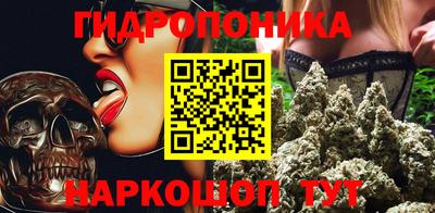 СК Кандалакша