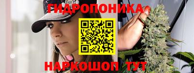 скорость Камышлов