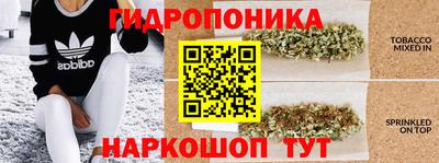 скорость Камышлов